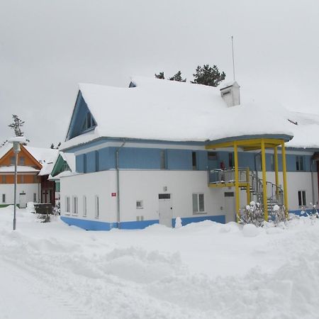 Apartmán Riviera Apartman Lipno nad Vltavou Kültér fotó