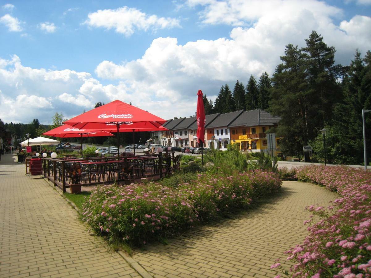 Apartmán Riviera Apartman Lipno nad Vltavou Kültér fotó