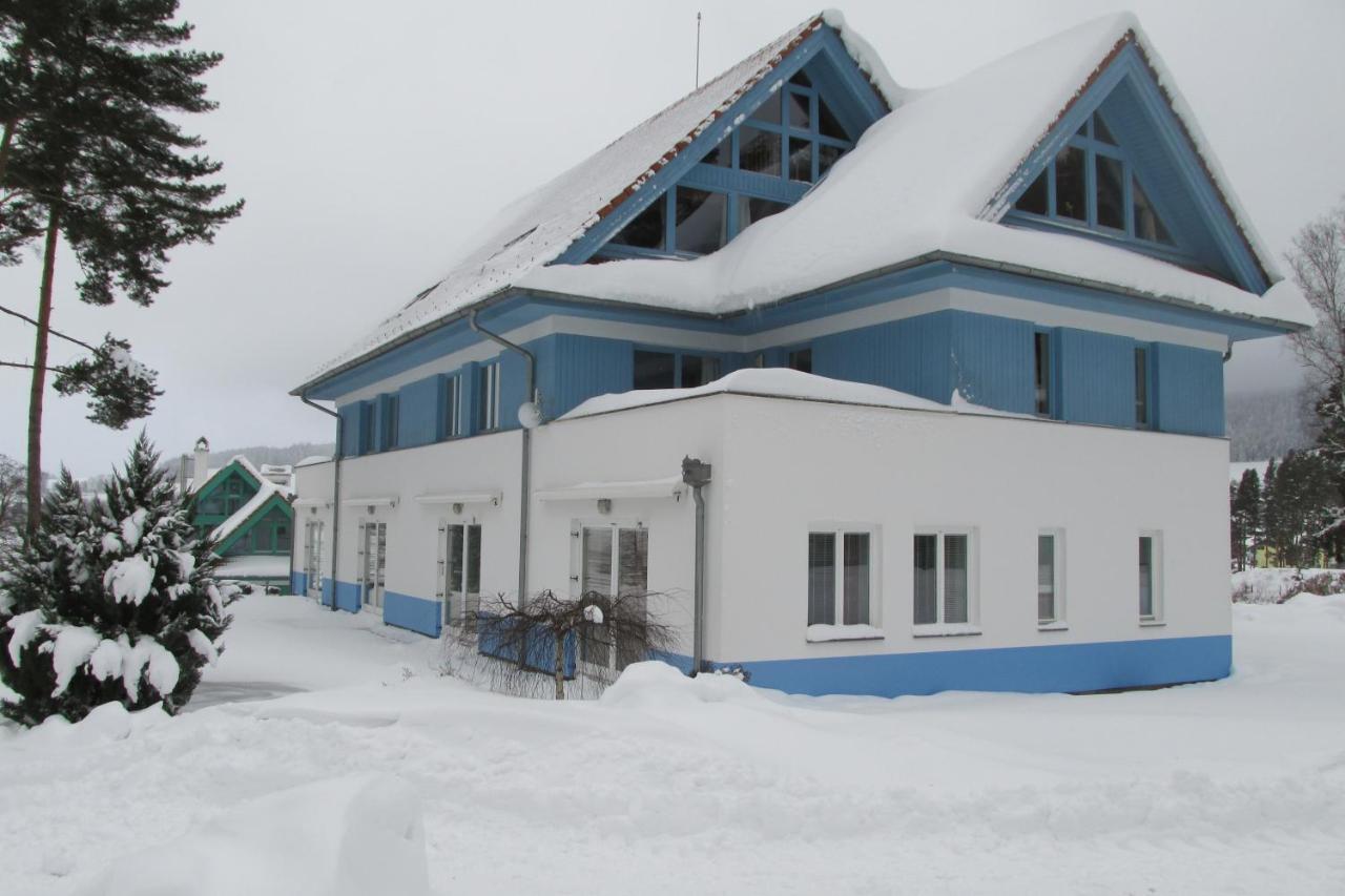 Apartmán Riviera Apartman Lipno nad Vltavou Kültér fotó